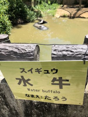 石垣やいま村