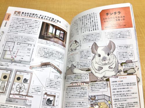 建築知識：小さな動物